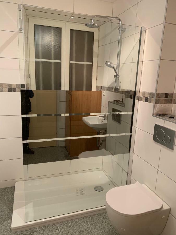 Appartement Wissembourg Zewnętrze zdjęcie